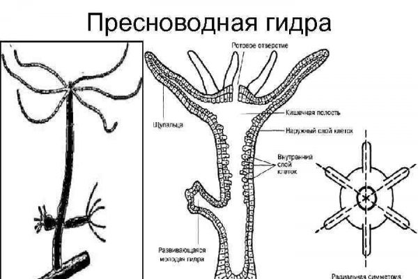 Ссылка на кракен официальный