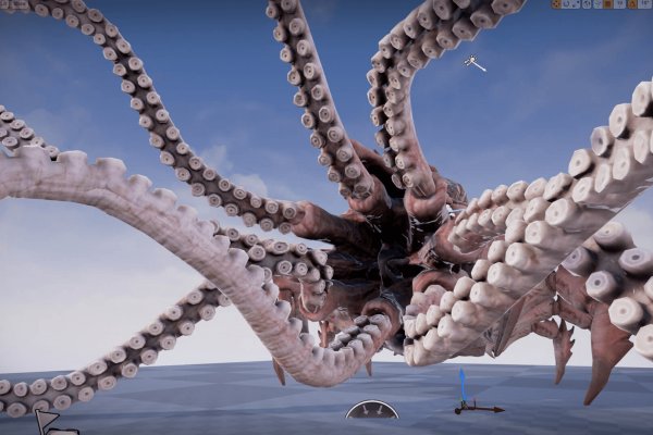 Kraken mirrors