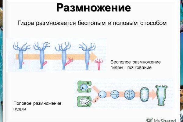 Кракен сайт пользователь не найден