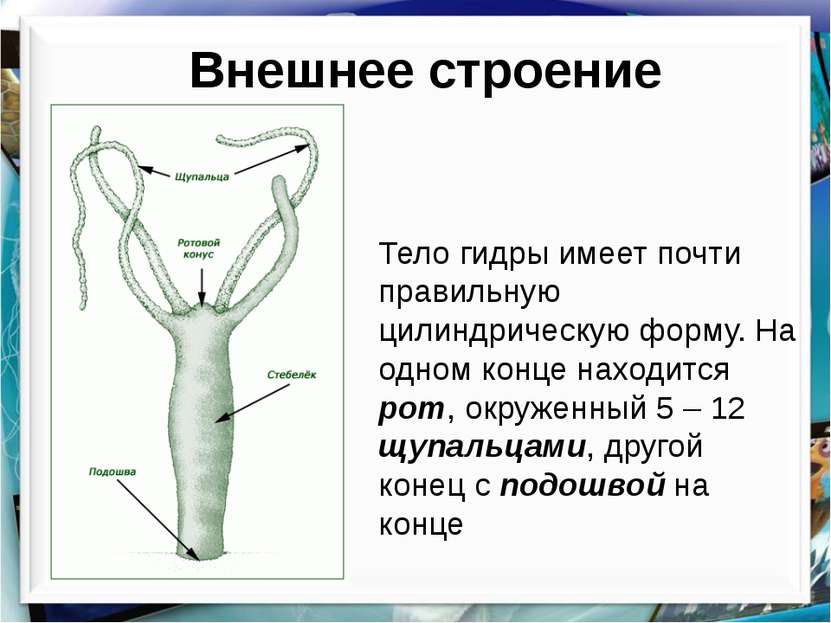 Как пополнить кракен